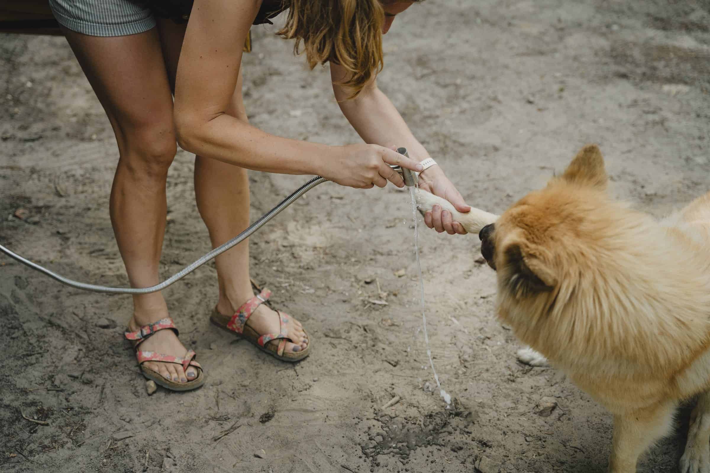Giving the dog a drink from the outdoor shower beside an Onyx campervan