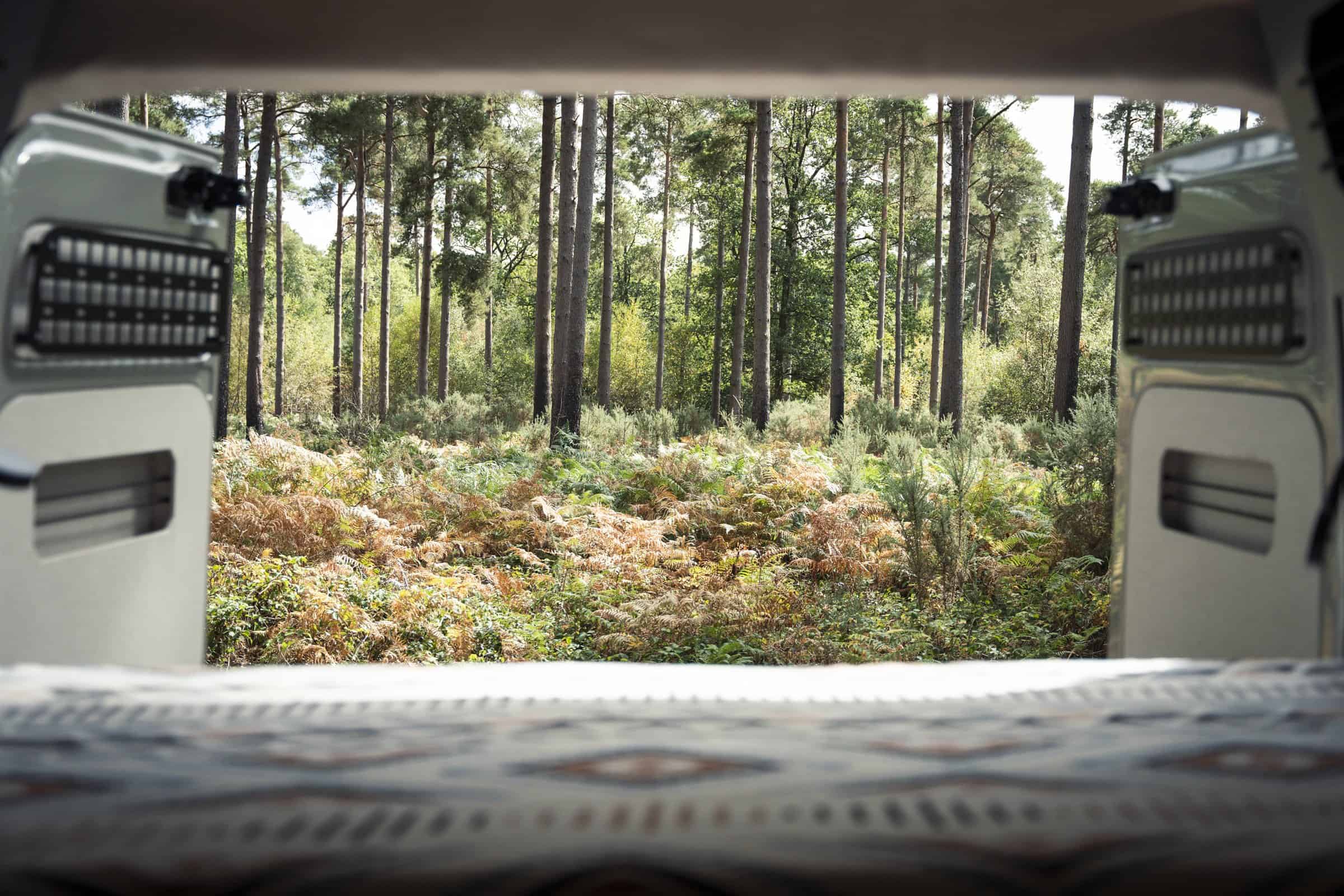 The view from the bed of the Onyx Mesa out through the open rear doors into woodland