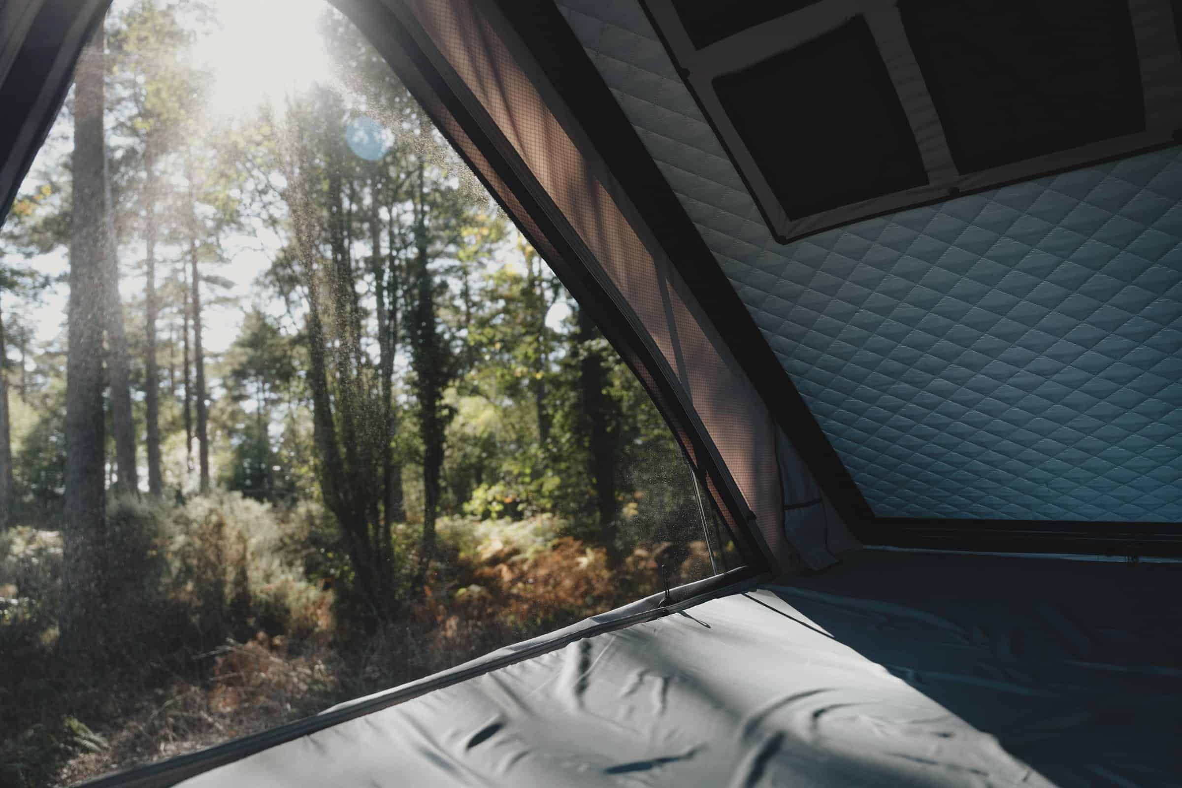 The upper berth of the Onyx pop-top with its mattress and quilted lining, looking out through an open window into woodland