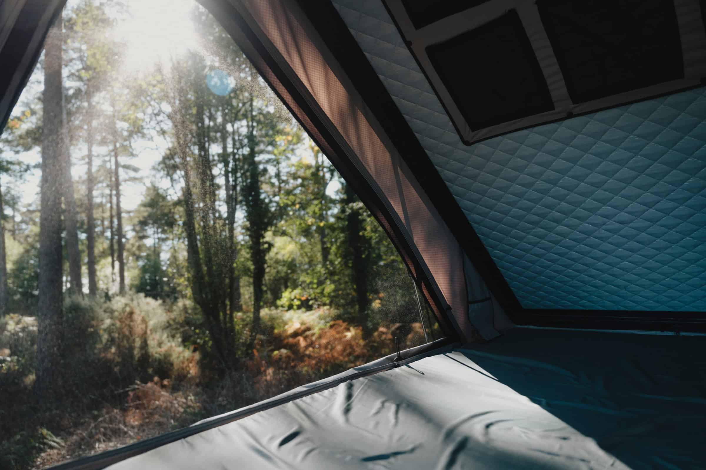 The upper berth inside the raised pop-top of the Onyx Mesa, looking out into the trees
